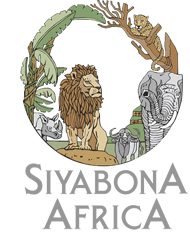 http://balule.krugerpark.co.za