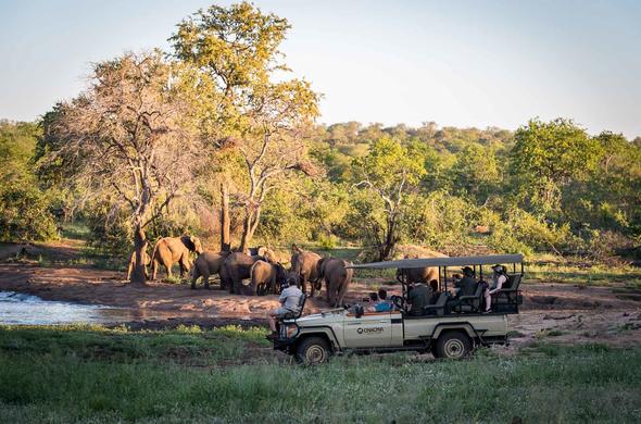 Chacma Bush Camp - Maseke Balule Game Reserve Safari