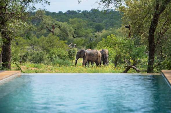 Balule Nature Reserve - Toro Yaka Bush Lodge